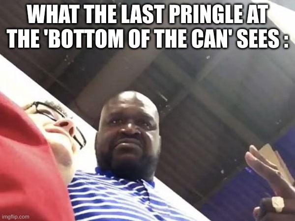 Shaq | WHAT THE LAST PRINGLE AT THE 'BOTTOM OF THE CAN' SEES : | image tagged in shaq | made w/ Imgflip meme maker