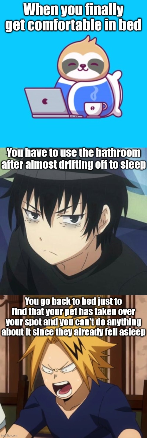 When you finally get comfortable in bed; You have to use the bathroom after almost drifting off to sleep; You go back to bed just to find that your pet has taken over your spot and you can't do anything about it since they already fell asleep | image tagged in anime sloth bundled,angy denki | made w/ Imgflip meme maker