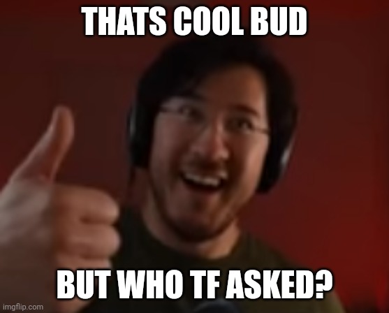 Markiplier thumbs up | THATS COOL BUD; BUT WHO TF ASKED? | image tagged in markiplier thumbs up | made w/ Imgflip meme maker