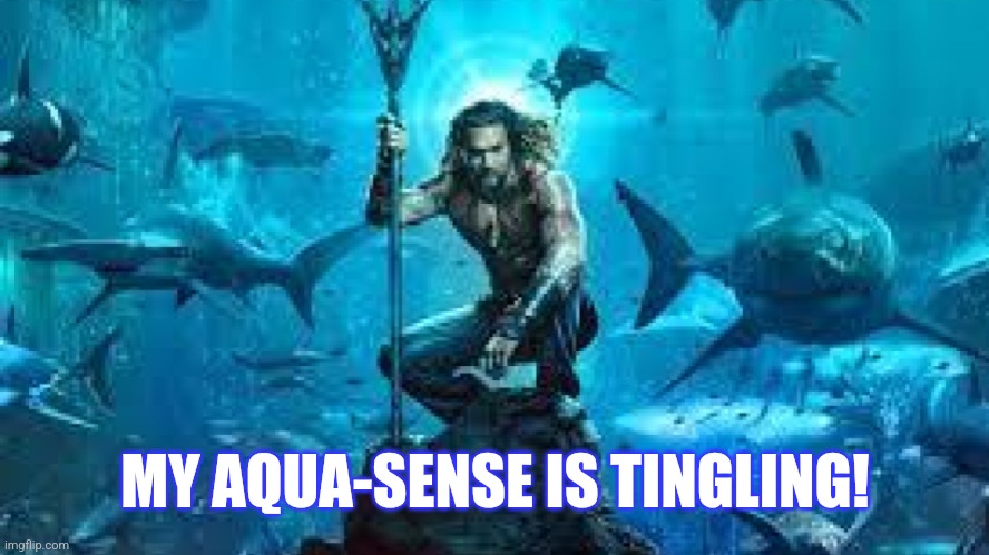 Aquaman Meme | MY AQUA-SENSE IS TINGLING! | image tagged in aquaman meme | made w/ Imgflip meme maker