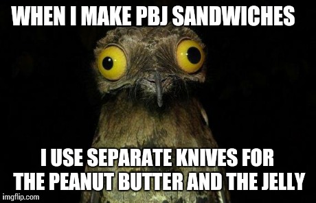 Weird Stuff I Do Potoo Meme | I USE SEPARATE KNIVES FOR THE PEANUT BUTTER AND THE JELLY WHEN I MAKE PBJ SANDWICHES | image tagged in memes,weird stuff i do potoo | made w/ Imgflip meme maker