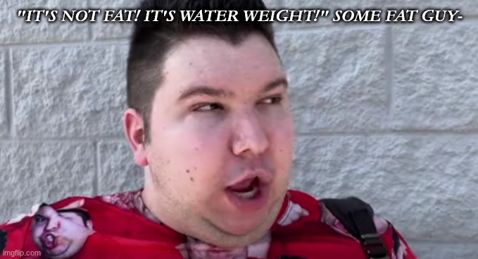 mad nikocado | "IT'S NOT FAT! IT'S WATER WEIGHT!" SOME FAT GUY- | image tagged in mad nikocado,memes,cringe | made w/ Imgflip meme maker