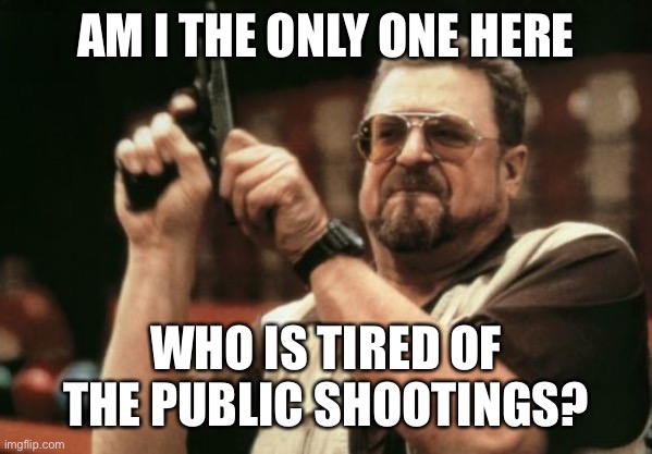 No More | AM I THE ONLY ONE HERE; WHO IS TIRED OF THE PUBLIC SHOOTINGS? | image tagged in memes,am i the only one around here | made w/ Imgflip meme maker