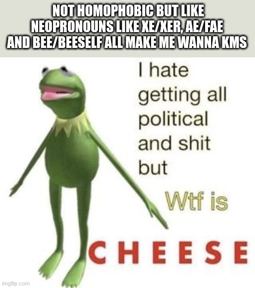 Wtf is C H E E S E | NOT HOMOPHOBIC BUT LIKE NEOPRONOUNS LIKE XE/XER, AE/FAE AND BEE/BEESELF ALL MAKE ME WANNA KMS | image tagged in wtf is c h e e s e | made w/ Imgflip meme maker