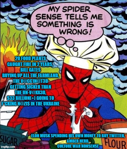 Spider Senses: What a distraction | 20 FOOD PLANTS CAUGHT FIRE IN 2 YEARS, 
BILL GATES BUYING UP ALL THE FARMLAND,
THE V@CC1N@T3D GETTING SICKER THAN THE UN-V@XX3D,
$33 BILLION(+) GOING TO F*CKING N@ZI$ IN THE UKRAINE; ELON MUSK SPENDING HIS OWN MONEY TO BUY TWITTER,
AMBER HERD,
CULTURE WAR NONSENSE | made w/ Imgflip meme maker