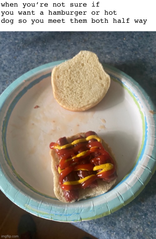 Hotburger |  when you’re not sure if you want a hamburger or hot dog so you meet them both half way | image tagged in hamburger,hot dog,food,cringe,food cringe | made w/ Imgflip meme maker