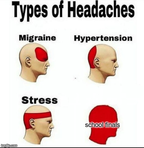 Types of Headaches meme |  school finals | image tagged in types of headaches meme | made w/ Imgflip meme maker