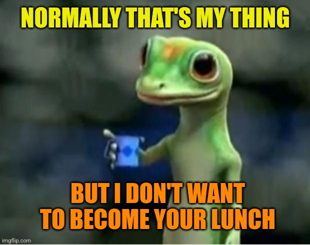 Geico Gecko | NORMALLY THAT'S MY THING BUT I DON'T WANT TO BECOME YOUR LUNCH | image tagged in geico gecko | made w/ Imgflip meme maker