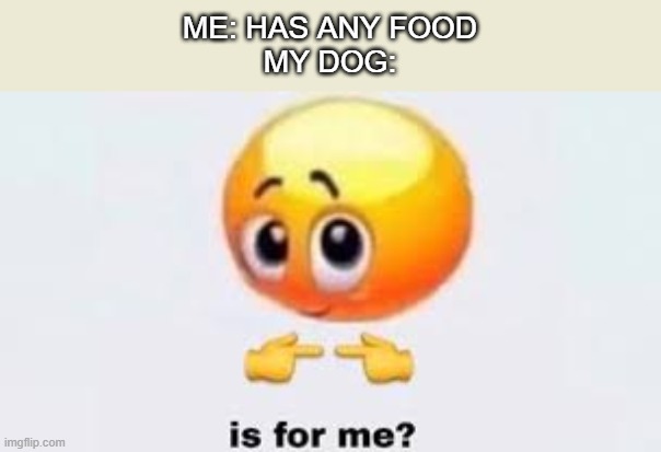 Dog be begging | ME: HAS ANY FOOD
MY DOG: | image tagged in is for me | made w/ Imgflip meme maker