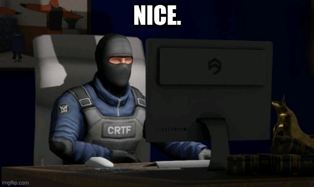 counter-terrorist looking at the computer | NICE. | image tagged in counter-terrorist looking at the computer | made w/ Imgflip meme maker