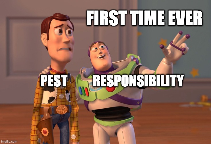 X, X Everywhere Meme Imgflip