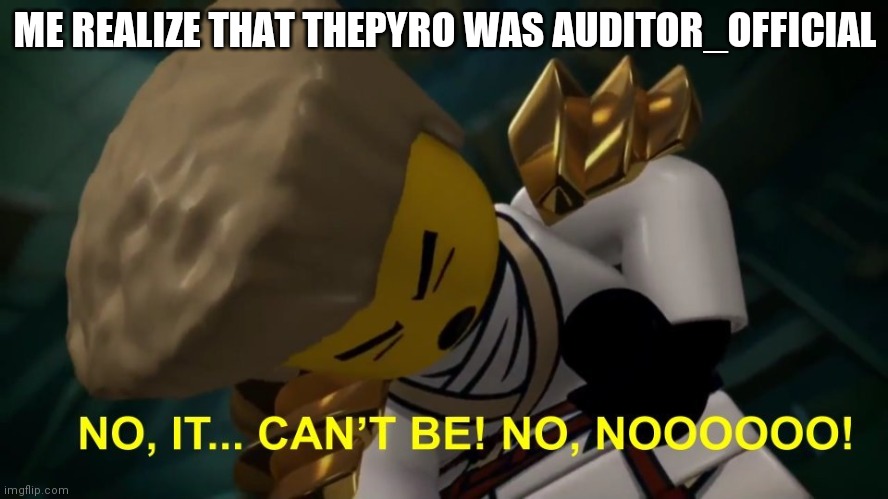 No, It Can't Be! | ME REALIZE THAT THEPYRO WAS AUDITOR_OFFICIAL | image tagged in no it can't be | made w/ Imgflip meme maker