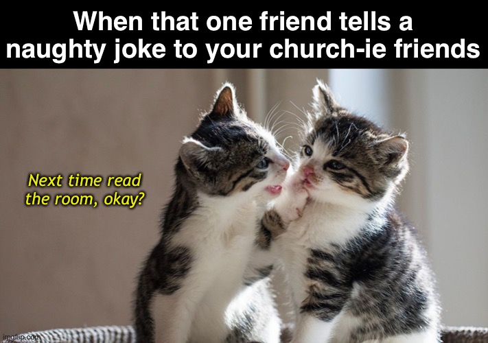 Not a Joke for the Masses | When that one friend tells a naughty joke to your church-ie friends; Next time read the room, okay? | image tagged in funny memes,funny cat memes,telling jokes | made w/ Imgflip meme maker