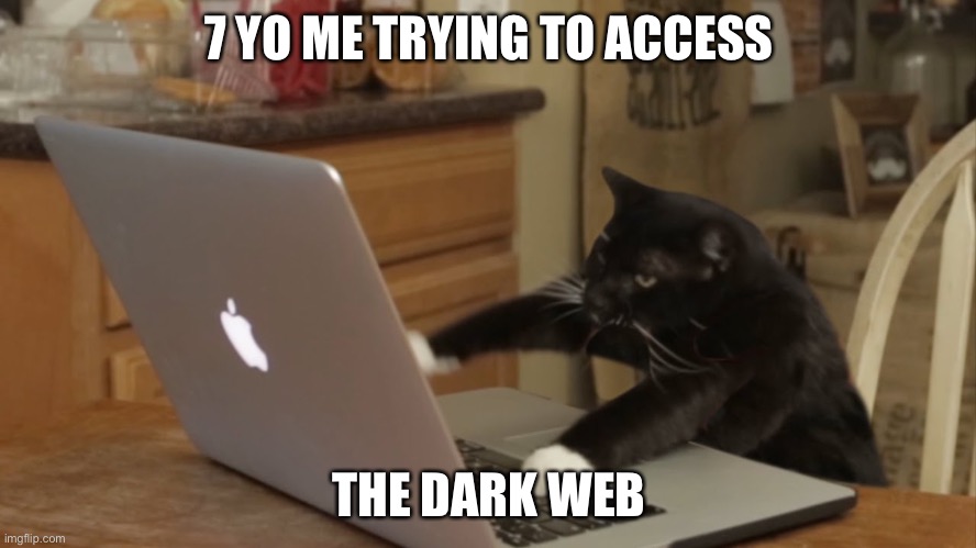 Why | 7 YO ME TRYING TO ACCESS; THE DARK WEB | image tagged in furiously typing cat | made w/ Imgflip meme maker