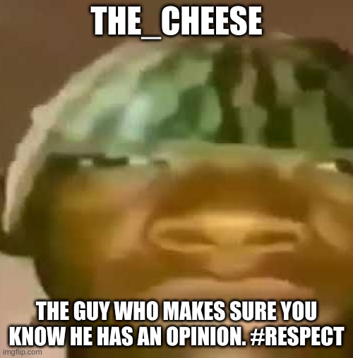 Crap Post 42: The_Cheese | THE_CHEESE; THE GUY WHO MAKES SURE YOU KNOW HE HAS AN OPINION. #RESPECT | made w/ Imgflip meme maker