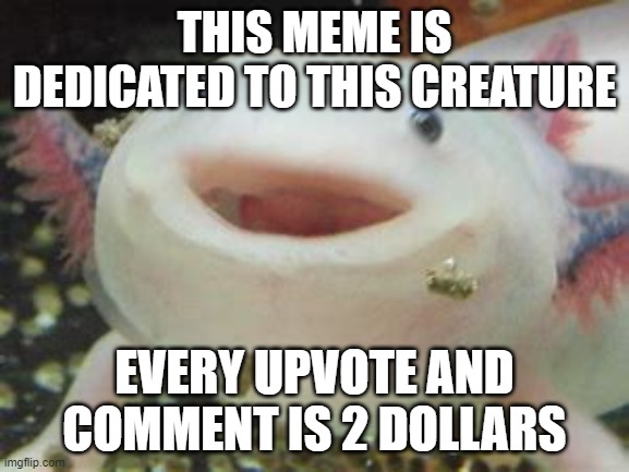 save the axolotls | THIS MEME IS DEDICATED TO THIS CREATURE; EVERY UPVOTE AND COMMENT IS 2 DOLLARS | image tagged in save me | made w/ Imgflip meme maker
