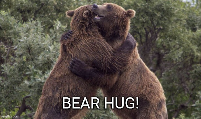 Bear hug | BEAR HUG! | image tagged in bear hug | made w/ Imgflip meme maker