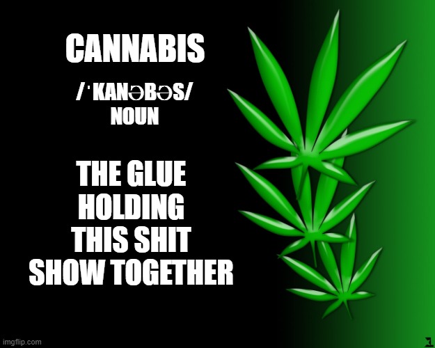 Cannabis | CANNABIS; THE GLUE HOLDING THIS SHIT SHOW TOGETHER; /ˈKANƏBƏS/

NOUN | image tagged in cannabis leaves | made w/ Imgflip meme maker