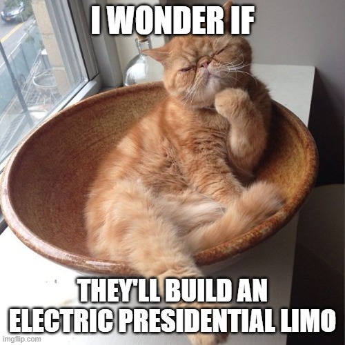 Wondering cat | I WONDER IF THEY'LL BUILD AN ELECTRIC PRESIDENTIAL LIMO | image tagged in wondering cat | made w/ Imgflip meme maker