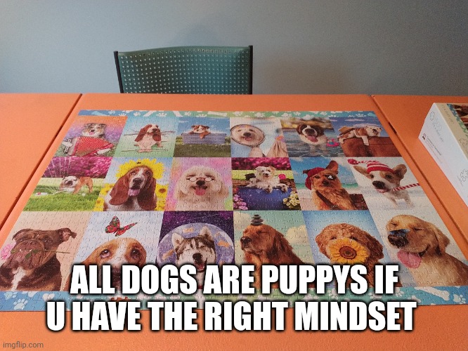 Had too Repost this in this stream | ALL DOGS ARE PUPPIES IF U HAVE THE RIGHT MINDSET | made w/ Imgflip meme maker