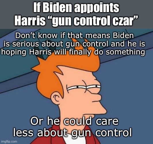 Hmmmm | If Biden appoints Harris “gun control czar”; Don’t know if that means Biden is serious about gun control and he is hoping Harris will finally do something; Or he could care less about gun control | image tagged in memes,futurama fry,politics | made w/ Imgflip meme maker