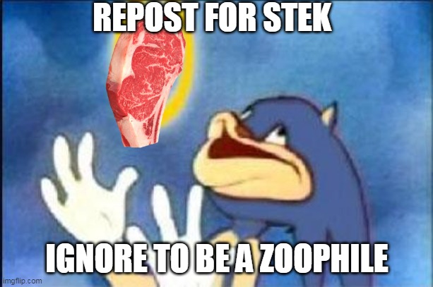 Sonic derp | REPOST FOR STEK IGNORE TO BE A ZOOPHILE | image tagged in sonic derp | made w/ Imgflip meme maker