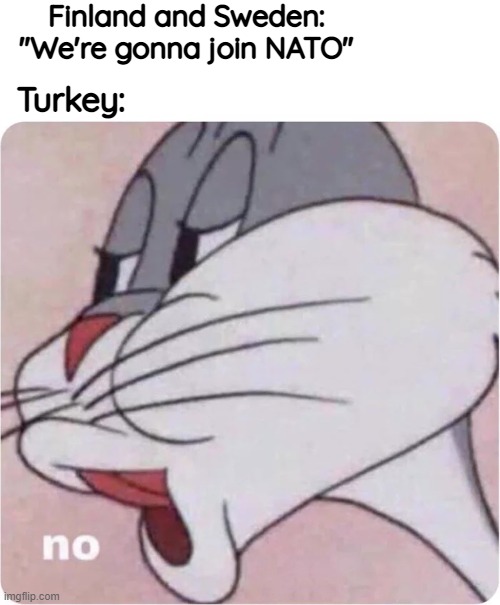 LOOOOOOOL | Finland and Sweden: "We're gonna join NATO"; Turkey: | image tagged in bugs bunny no,nato,finland,sweden,turkey | made w/ Imgflip meme maker