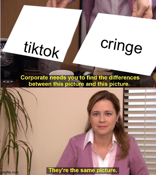 tiktok cringe | cringe; tiktok | image tagged in memes,they're the same picture,tik tok sucks,tik tok | made w/ Imgflip meme maker