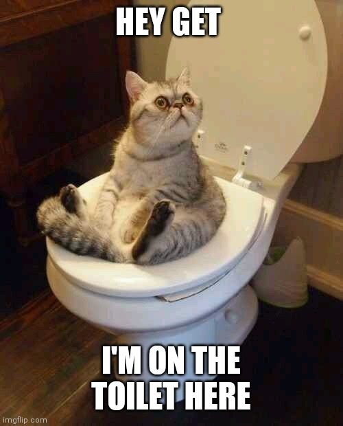 Toilet cat | HEY GET; I'M ON THE TOILET HERE | image tagged in toilet cat | made w/ Imgflip meme maker