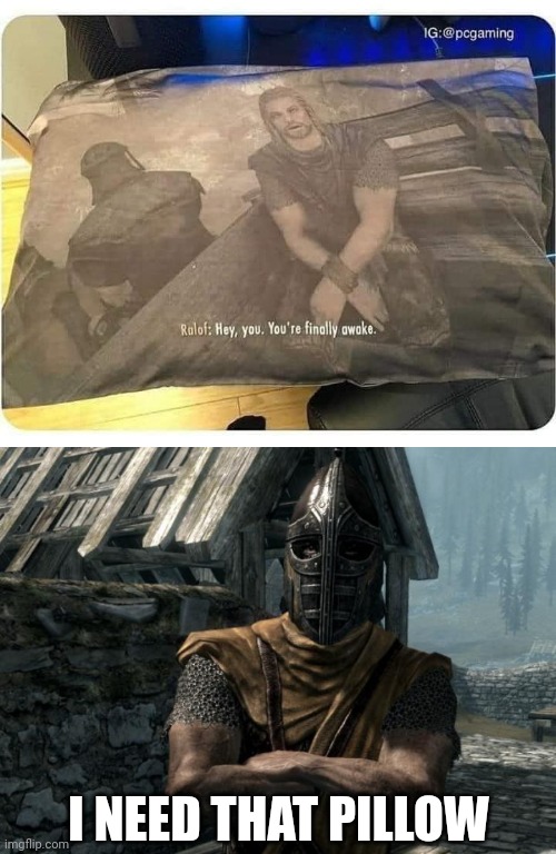 WAKE UP FEELING LIKE AN ADVENTURER AGAIN |  I NEED THAT PILLOW | image tagged in skyrim guards be like,memes,skyrim,skyrim meme,pillow,video games | made w/ Imgflip meme maker