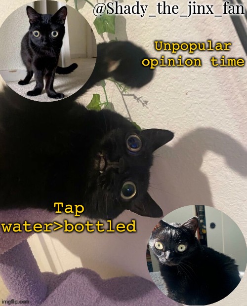 Shady’s jinx temp (once agaun thanks ishowsun) | Unpopular opinion time; Tap water>bottled | image tagged in shady s jinx temp once agaun thanks ishowsun | made w/ Imgflip meme maker