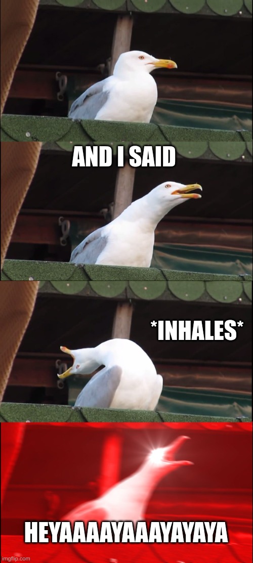 Inhaling Seagull |  AND I SAID; *INHALES*; HEYAAAAYAAAYAYAYA | image tagged in memes,inhaling seagull | made w/ Imgflip meme maker