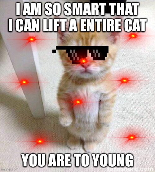 I can lift an entire cat | I AM SO SMART THAT I CAN LIFT A ENTIRE CAT; YOU ARE TO YOUNG | image tagged in memes,cute cat | made w/ Imgflip meme maker