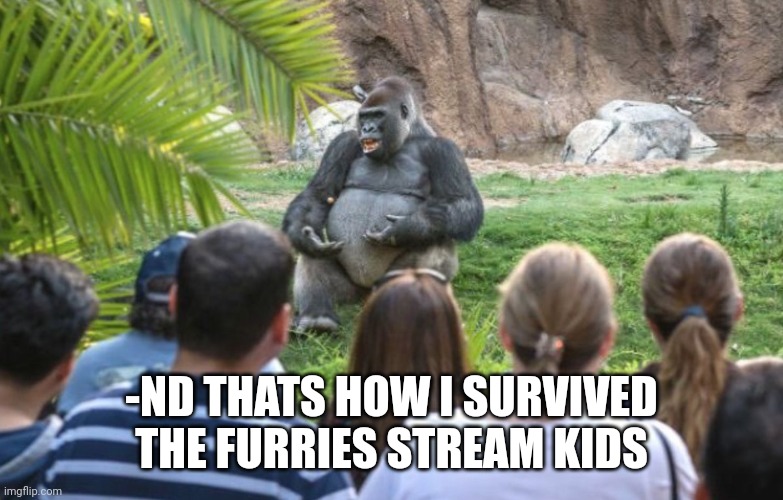 ted talk gorilla | -ND THATS HOW I SURVIVED THE FURRIES STREAM KIDS | image tagged in ted talk gorilla | made w/ Imgflip meme maker