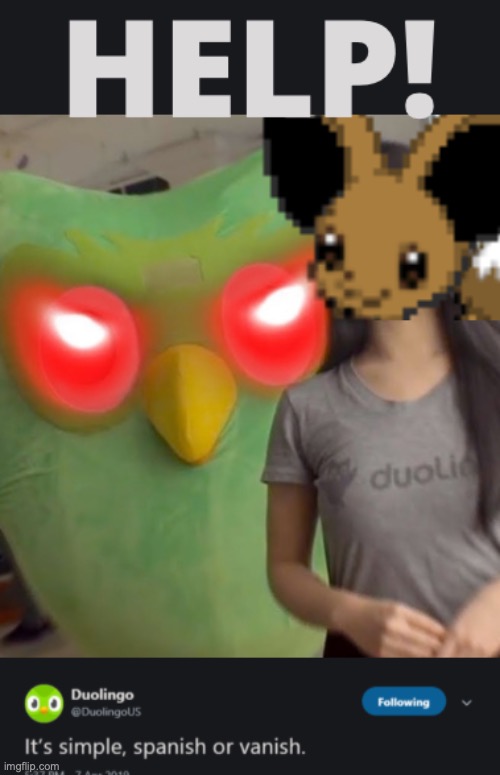 Fennevee attacked by Duolingo | image tagged in duolingo bird | made w/ Imgflip meme maker