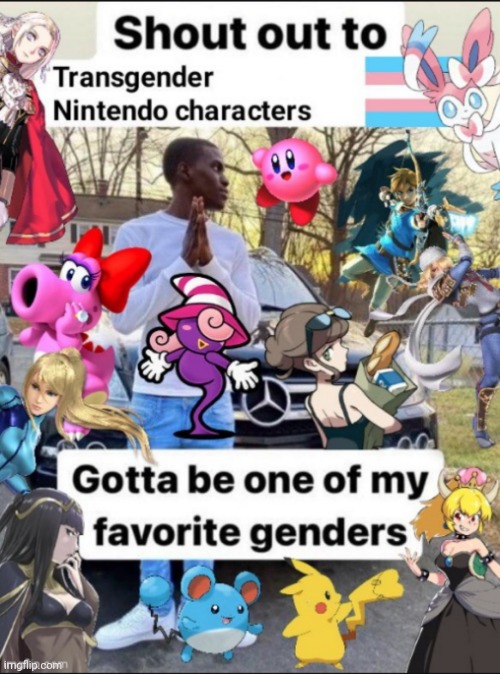 Here we go Link, Zelda (or Sheik if you want), Kirby, Samus, Birdo, and Pokemons, and everyone else are not trans | made w/ Imgflip meme maker