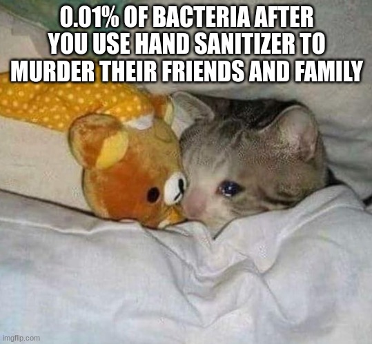 Oops | 0.01% OF BACTERIA AFTER YOU USE HAND SANITIZER TO MURDER THEIR FRIENDS AND FAMILY | image tagged in crying cat | made w/ Imgflip meme maker