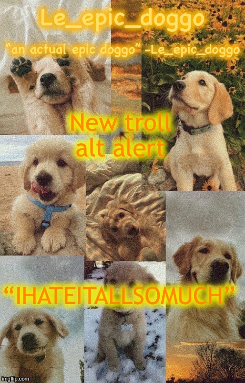 cinna:- thats my alt ._. | New troll alt alert; “IHATEITALLSOMUCH” | image tagged in doggo temp by doggo wait what that s confusing | made w/ Imgflip meme maker