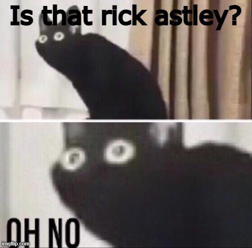 Oh no cat | Is that rick astley? | image tagged in oh no cat | made w/ Imgflip meme maker
