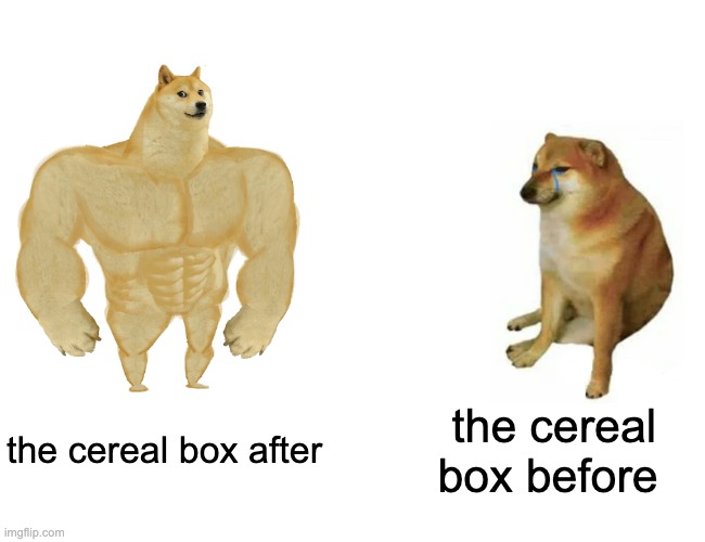 good title | the cereal box after; the cereal box before | image tagged in memes,buff doge vs cheems | made w/ Imgflip meme maker