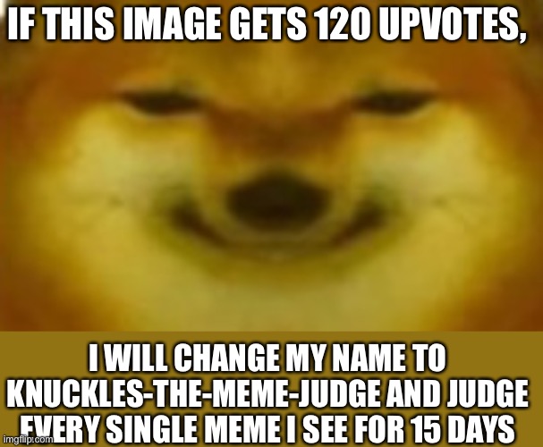 Every 5 upvotes over 120 is an additional day | IF THIS IMAGE GETS 120 UPVOTES, I WILL CHANGE MY NAME TO KNUCKLES-THE-MEME-JUDGE AND JUDGE EVERY SINGLE MEME I SEE FOR 15 DAYS | image tagged in si | made w/ Imgflip meme maker