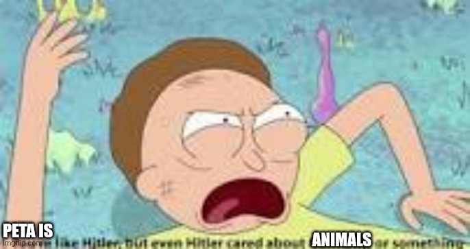 Even Hitler cares about animals | ANIMALS; PETA IS | image tagged in your like hitler | made w/ Imgflip meme maker