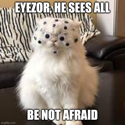 One man tried to count it's eyes, he never returned. Some say he's still counting | EYEZOR, HE SEES ALL; BE NOT AFRAID | image tagged in cats,eyes | made w/ Imgflip meme maker