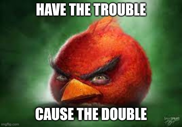Realistic Red Angry Birds | HAVE THE TROUBLE CAUSE THE DOUBLE | image tagged in realistic red angry birds | made w/ Imgflip meme maker