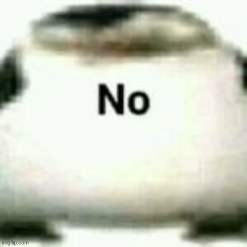 no | image tagged in no | made w/ Imgflip meme maker