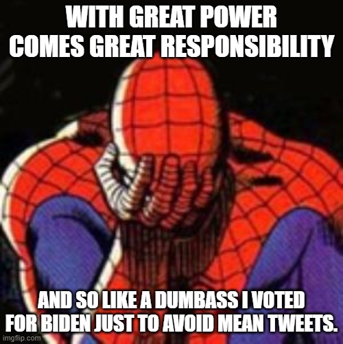 A lot of Dem Party voters are experiencing the bitter taste of buyer's remorse. | WITH GREAT POWER COMES GREAT RESPONSIBILITY; AND SO LIKE A DUMBASS I VOTED FOR BIDEN JUST TO AVOID MEAN TWEETS. | image tagged in memes,sad spiderman,spiderman | made w/ Imgflip meme maker