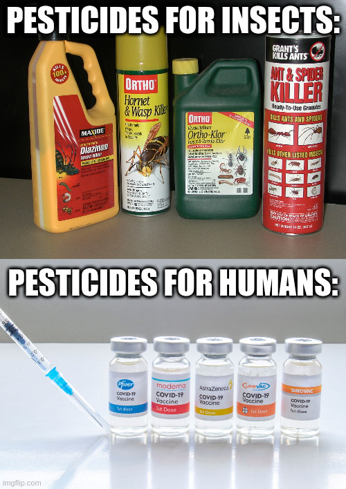 Pesticides | PESTICIDES FOR INSECTS:; PESTICIDES FOR HUMANS: | made w/ Imgflip meme maker