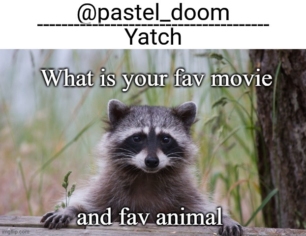 ? | What is your fav movie; and fav animal | image tagged in yachi's raccoon temp thank you badoo | made w/ Imgflip meme maker