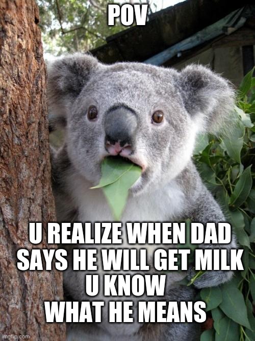 Surprised Koala Meme |  POV; U REALIZE WHEN DAD SAYS HE WILL GET MILK; U KNOW WHAT HE MEANS | image tagged in memes,surprised koala | made w/ Imgflip meme maker