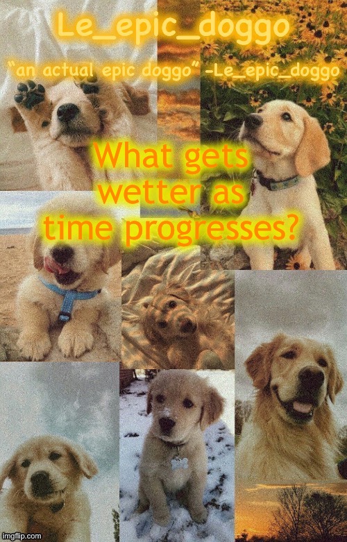 Doggo temp by doggo. Wait what that’s confusing | What gets wetter as time progresses? | image tagged in doggo temp by doggo wait what that s confusing | made w/ Imgflip meme maker